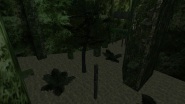 kzarg_swampyjungle