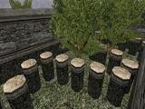 kzse_ancienthopez